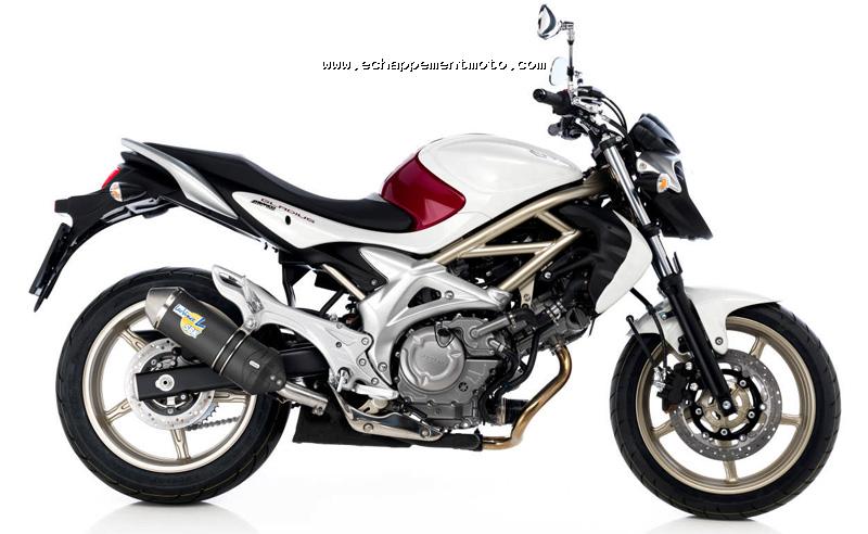 echappement moto SUZUKI Gladius 650 leovince Ovale